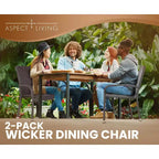 Hialeah Wicker Dining Chair Set - Set of 2