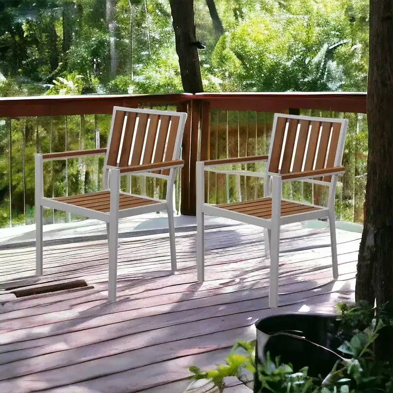 Courtyard Casual Catalina 2 Pack Dining Arm Chairs