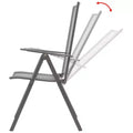 vidaXL Reclining Chair Set of 2 E-coated, powder-coated steel
