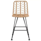 vidaXL Set of 2 Bar Stools, PE Rattan and Steel