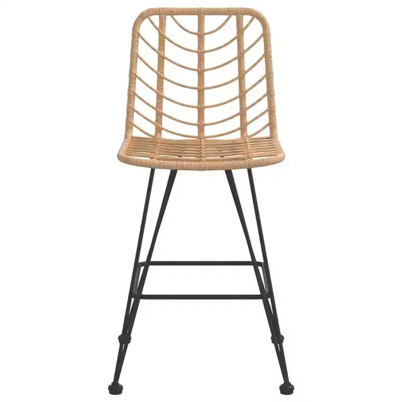 vidaXL Set of 2 Bar Stools, PE Rattan and Steel