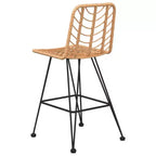 vidaXL Set of 2 Bar Stools, PE Rattan and Steel