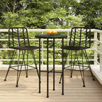 vidaXL Set of 2 Bar Stools, PE Rattan and Steel