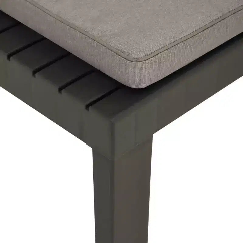 vidaXL Lounge Chair Grey, Anthracite Plastic, Fabric Medium