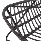 Christopher Knight Home Galtin Outdoor Wicker Accent Chairs (Set of 2) , Gray/Black